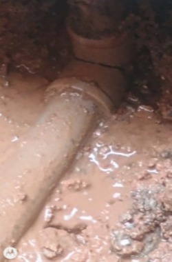 WhatsApp Image 2025-08-04 at 16.44.31 (1).jpeg